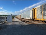 SFLC 308363